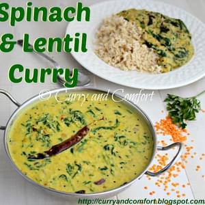 Spicy Spinach and Lentil Curry- Vegan Version (Throwback Thursdays)
