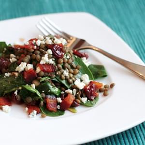Spinach and Lentil Salad with Blue Cheese and Tart Cherry Vinaigrette