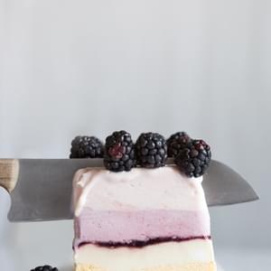Summer Berry Ice Cream Cake