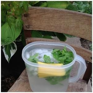 Pineapple and Mint Infused Water Recipe Infused Water - Spa Water - Flavored Water