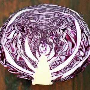 Tangy Red Cabbage with Ginger