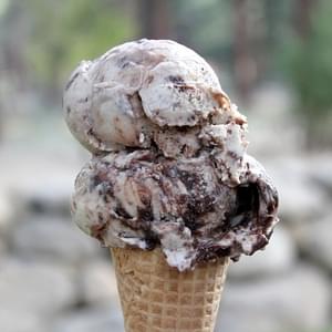 Toasted Marshmallow- Brownie Malt Ice Cream