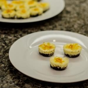 Mini Chocolate-Crusted Orange Cheesecakes