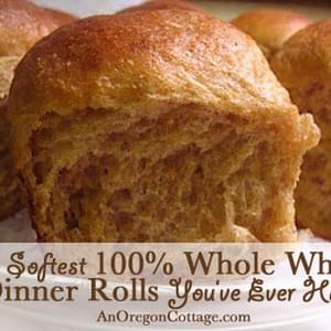 Soft 100% Whole Wheat Dinner Rolls