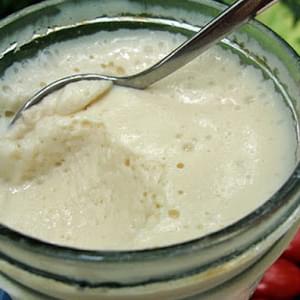 BRYANNA’S CREAMY LOW-FAT VEGAN MAYONNAISE WITH NO EXTRACTED OIL (can be soy-free)