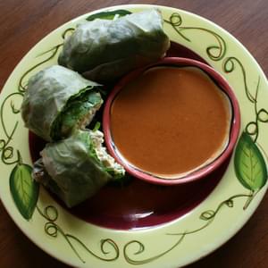 Tofu Spring Rolls with Peanut Dipping Sauce
