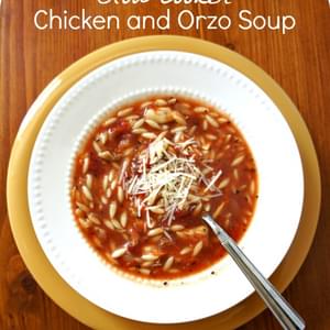 Recipe for Slow Cooker Chicken and Orzo Soup