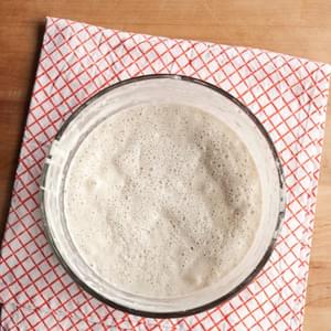 How To Make Your Own Sourdough Starter