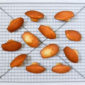 Perfect Madeleines