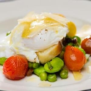 Warm Fava Bean and Cherry Tomato Salad with Poached Egg