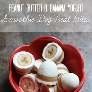 Peanut Butter & Banana Smoothie Bon Bon Bites