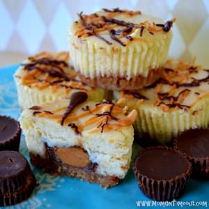 Reese’s Peanut Butter Cup Mini Cheesecakes