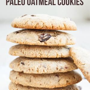 Paleo Oatmeal Cookies
