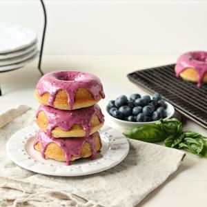Baked Blueberry Sour Cream Donuts