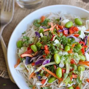 Asian Chicken Salad with Sesame Ginger Dressing