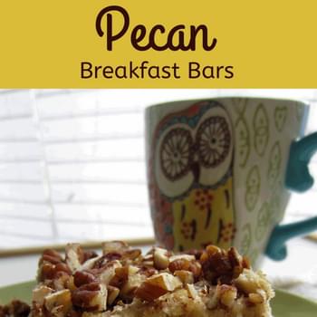 Paleo Coconut Pecan Breakfast Bars