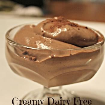 Creamy Dairy Free Chocolate Ice Cream