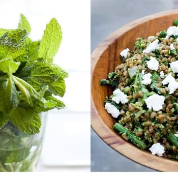 Spring Wheat Berry Salad with Spinach Pesto