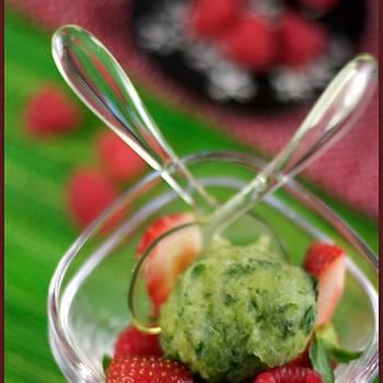 Basil Sorbet and Red Fruit