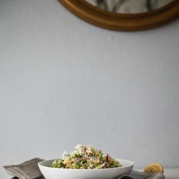 Brussels Sprout Salad with Red Onion and Pecorino