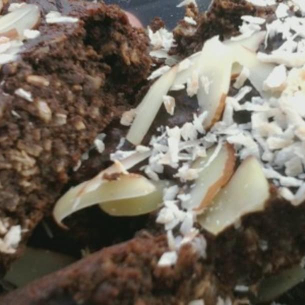 Coconut Chocolate Cake/Brownies