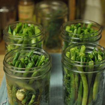 Pickled Green Beans (aka Dilly Beans)