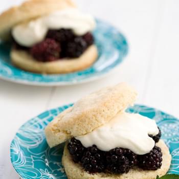 Summer Berry Shortcake with Goat Cheese Cream