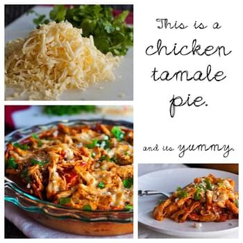 Chicken Tamale Pie, Version 2