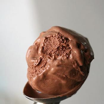 Agave-Sweetened Chocolate Ice Cream
