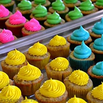 Colorful Mini Hummingbird Cupcakes