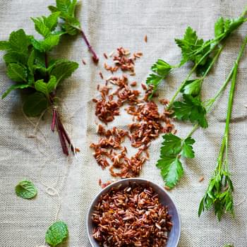 Red Rice & Mint w/ Soy Dressing