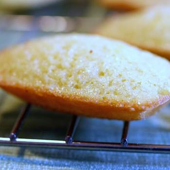 Classic Madeleines [Madeleines Classiques]