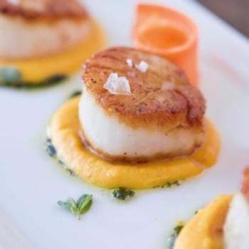 Scallops With Carrot Cream And Marjoram