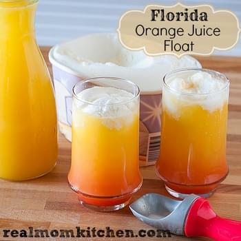 Florida Orange Juice Float