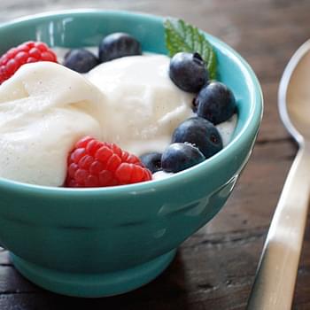 Homemade Low Fat Vanilla Bean Frozen Yogurt
