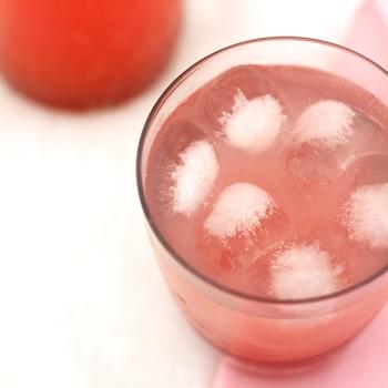 Rhubarb and Ginger Cordial