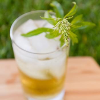 Lemon Verbena Lemongrass Syrup
