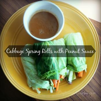 Cabbage Spring Rolls with Peanut Sauce