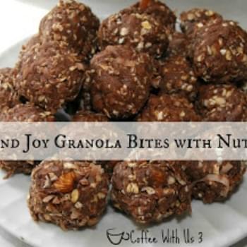 Almond Joy Granola Bites with Nutella