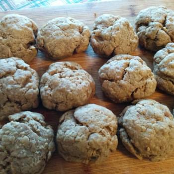 Ginger Molasses Cookies (vegan)