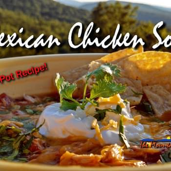 Crock-Pot Mexican Chicken Soup