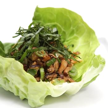 Shiitake Mushroom Lettuce Wraps With Basil Chiffonade