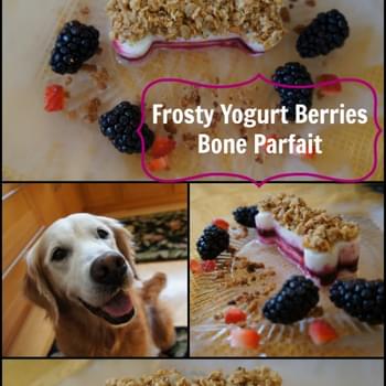 Frosty Yogurt Berries Bone Parfait
