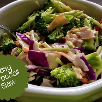 Easy Broccoli Slaw