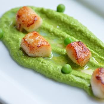 Seared Scallops With Chamomile Butter
