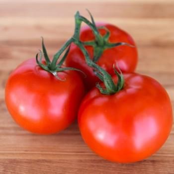 How to Seed Tomatoes
