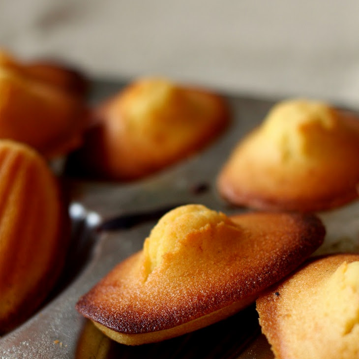 Lemon and Vanilla Madeleines Recipe