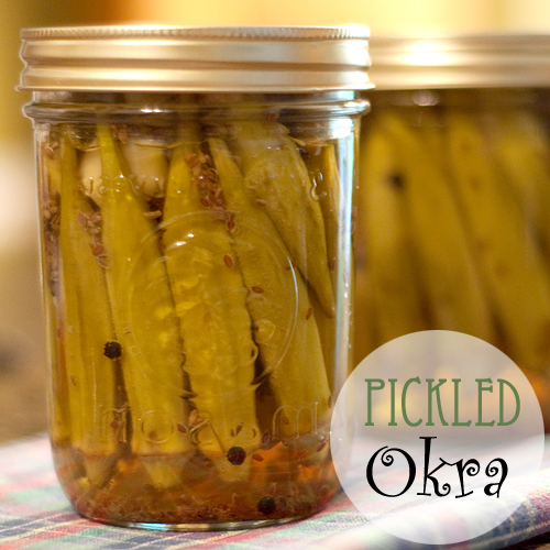 Pickled Okra Recipe